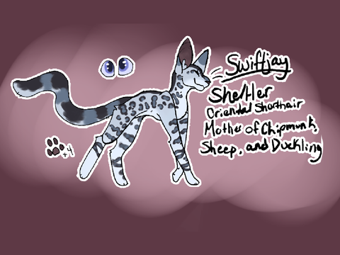 RP Ref Sheet