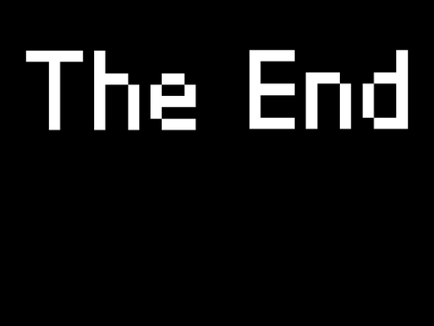 THE END 