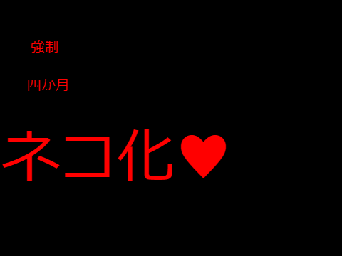 にゃん！？