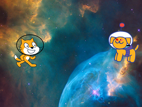 Cat vs dot p4