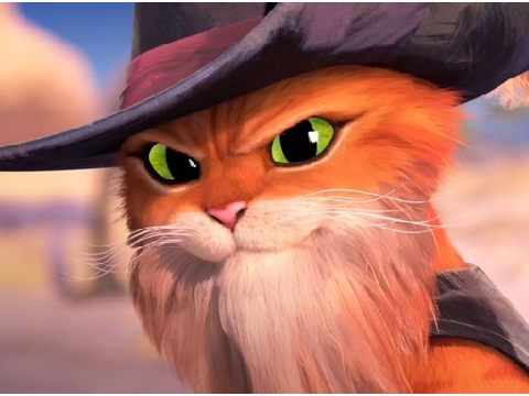 puss