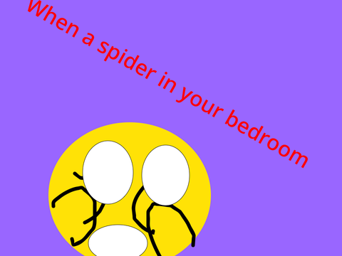 When a spider in your bedroom