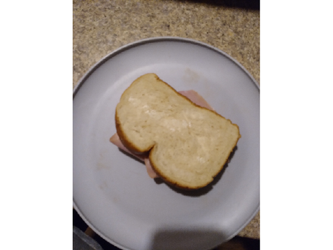 sandvich