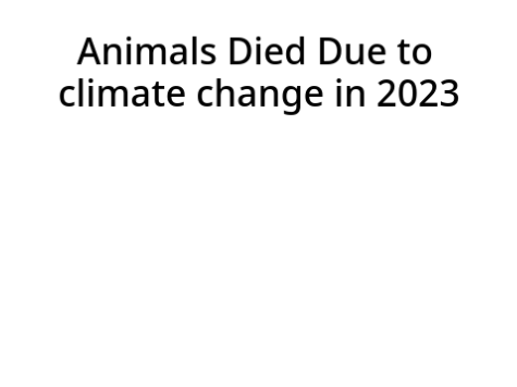 Animals Died Due to Climate Change in 2023 Live!!!