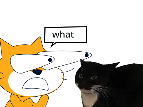 Maxwell the Cat 