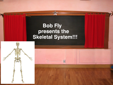 Skeletal Systam