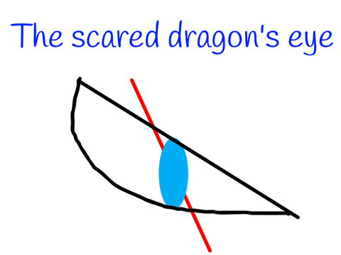 Dragon eye art
