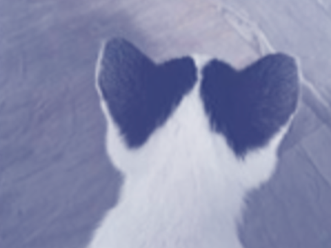 Project thumbnail