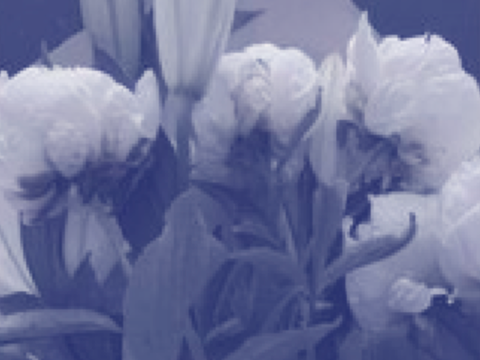 Project thumbnail