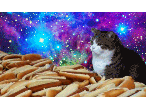 hot dog cat! - Panda_Heart