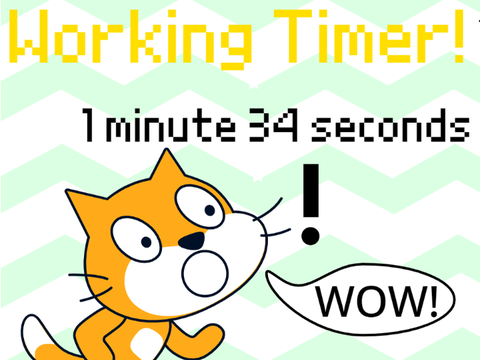 Timer Project