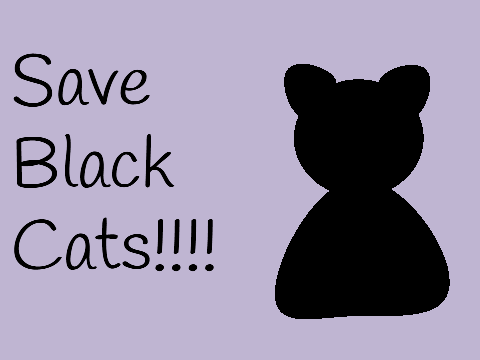 ˋ°•*⁀➷save black cats
