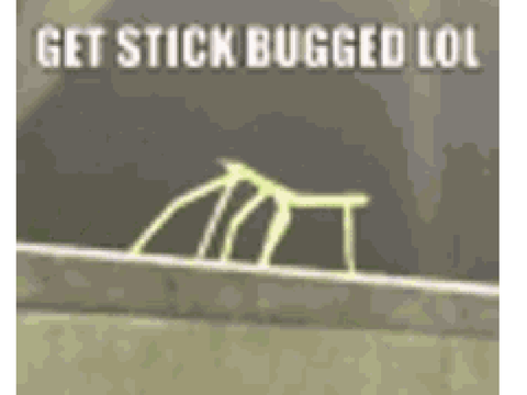 Stick Bug v2