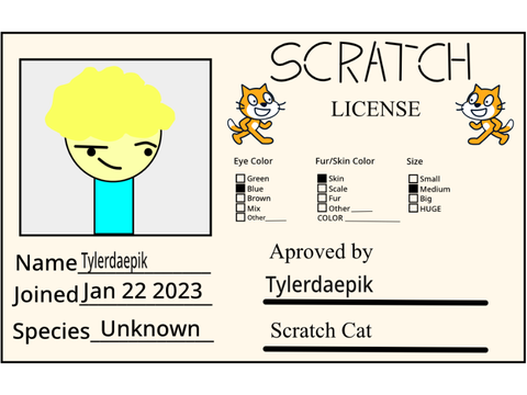 Tylerdaepiks scratch License 