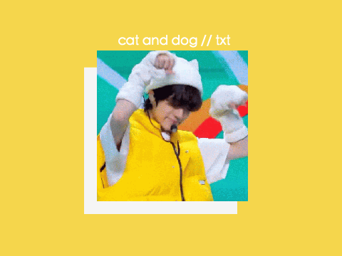 cat and dog // TXT (tomorrow by together)