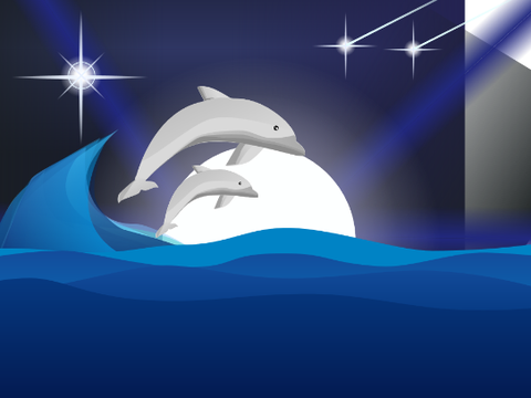 Dolphin clicker