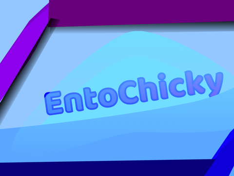  Branding for EntoChicky 