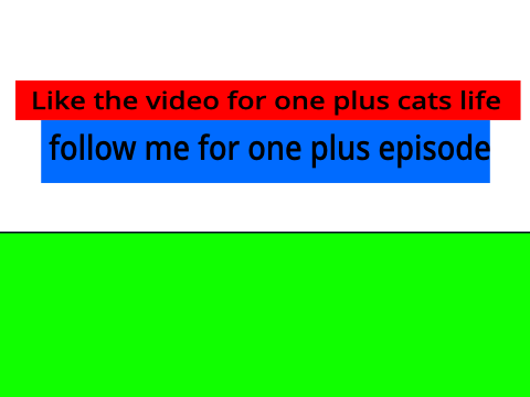 R.I.P cat guy