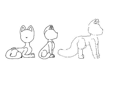 Positions of cats:3
