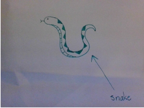 snake