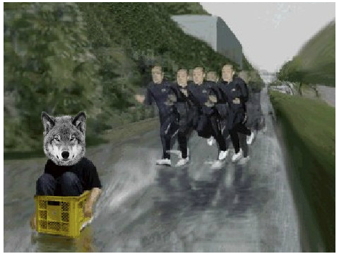 Catch That Wolf
