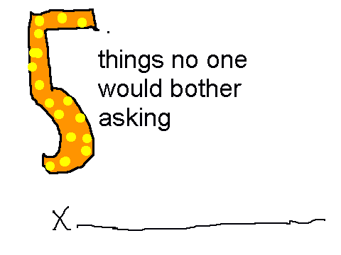 5 things no one would bother asking