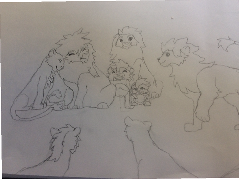 Lions hand drawn