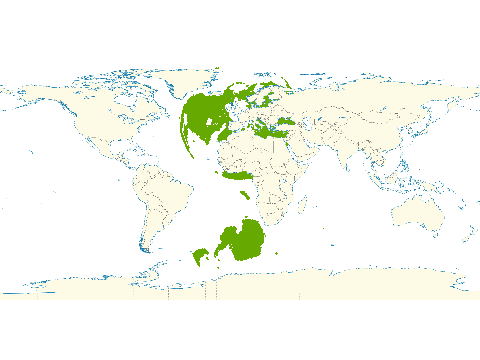 Map projection 1.5.5