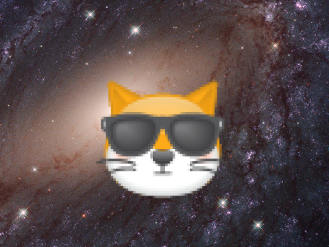 Chat cool !