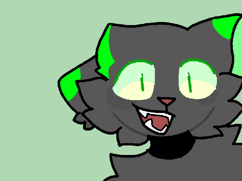 TYSM FOR 250+!!