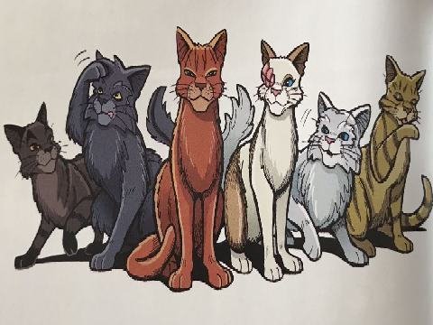 20 Random Warrior Cats Questions I Anwsered 