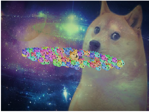Doge Hole Event Horizon 