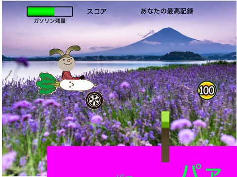 かぶ大根うさぎのレース