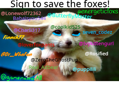 STOP HUNTING FOXES 