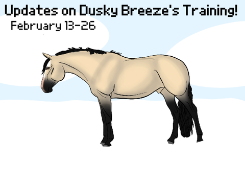 Updates on Dusky Breeze's Training! - February 13-26