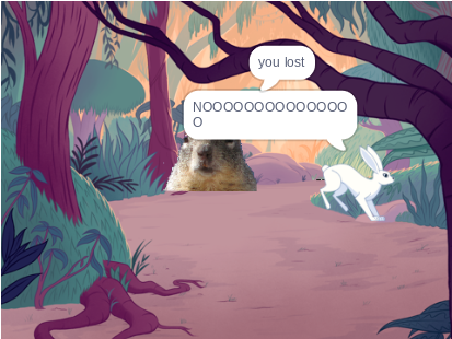  project turtle and hare