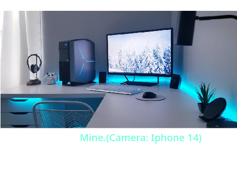 Setup Reveal.