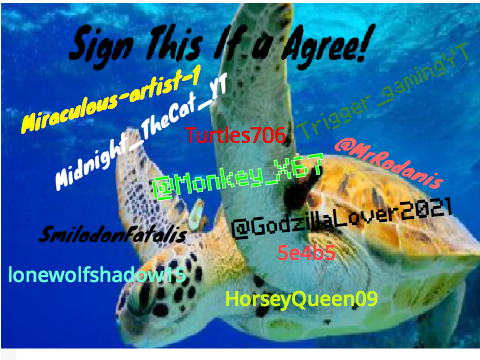 Stop Hunting the turtles remix and sign if u agree! remix remix remix remix