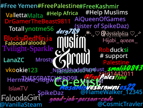 Sign if you are Muslim and Proud! remix