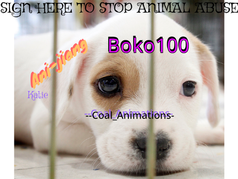 SIGN HERE TO STOP ANIMAL ABUSE remix remix remix remix-2