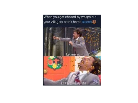 animal crossing memes