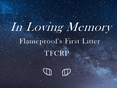 In Loving Memory - Closed TFCRP Litter