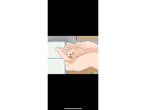 Wikihow out of context