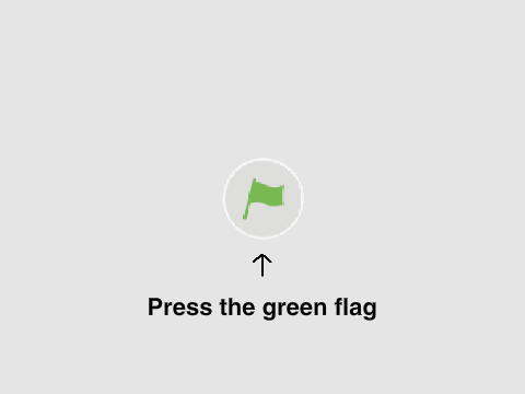 PRESS THE GREEN FLAG