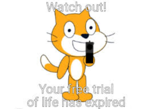 Scratch Memes!