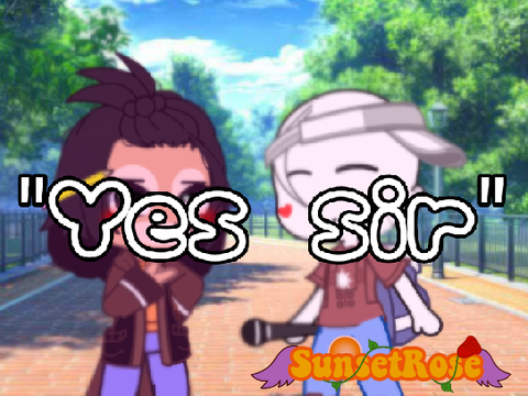 《"Yes sir" meme》