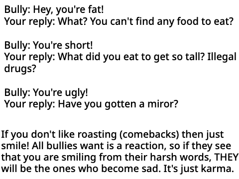 Bully 101