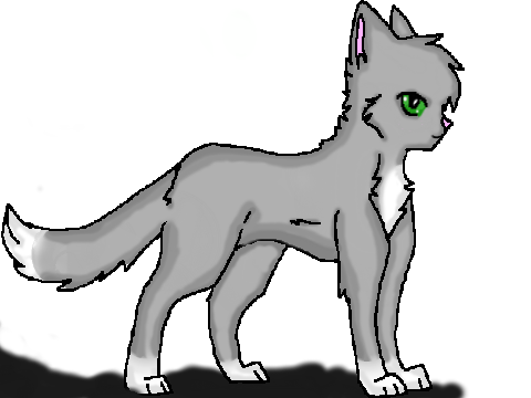 Warrior Cat CC (OPEN!!)  remix