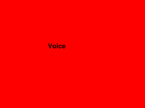 Voice 123