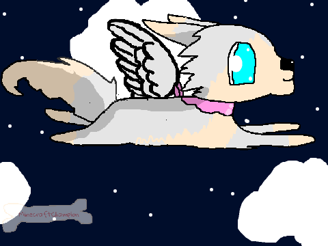 Fly CC OPEN remix